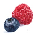 Raspberry Blueberry